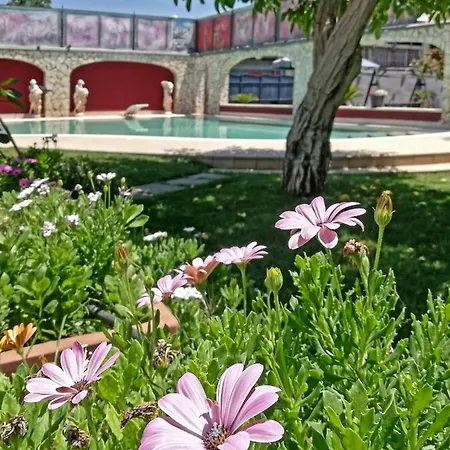 Lägenhet Domus Parthenope *